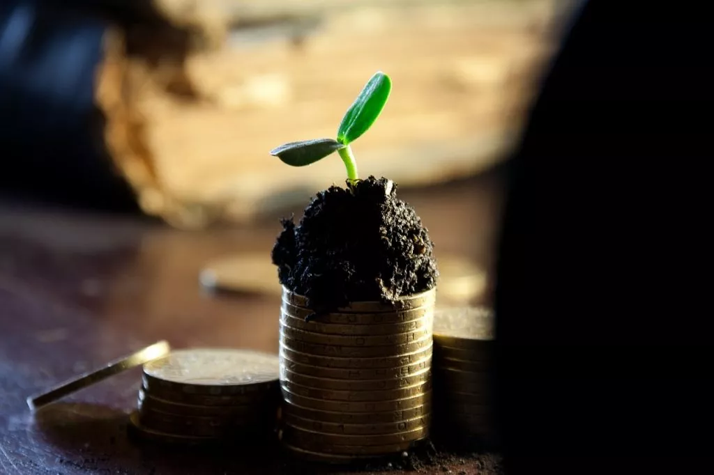 Earnings examples - GuerrillaBuzz blog guide